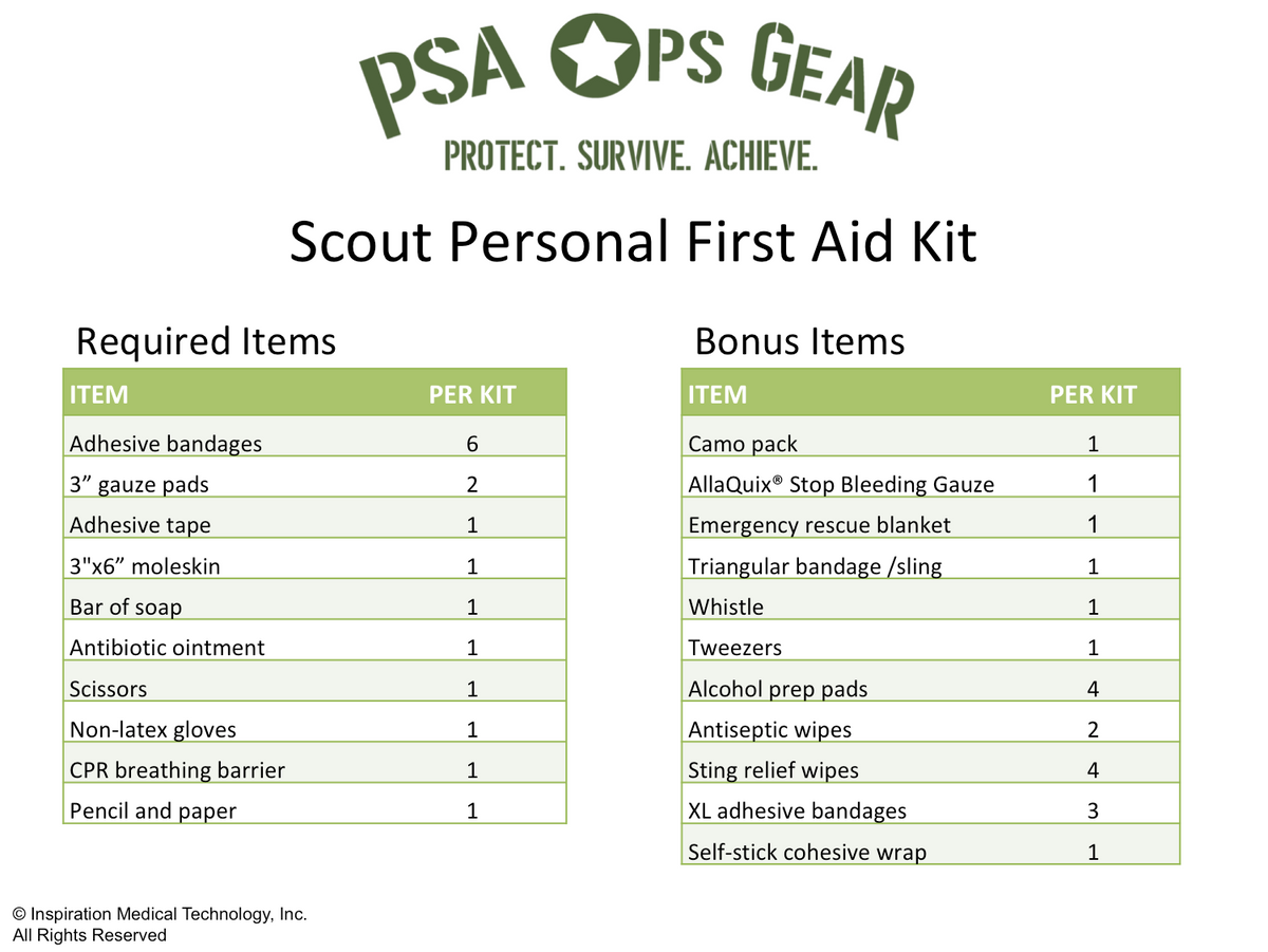 Cub Scout First Aid First Aid Kit Contents List